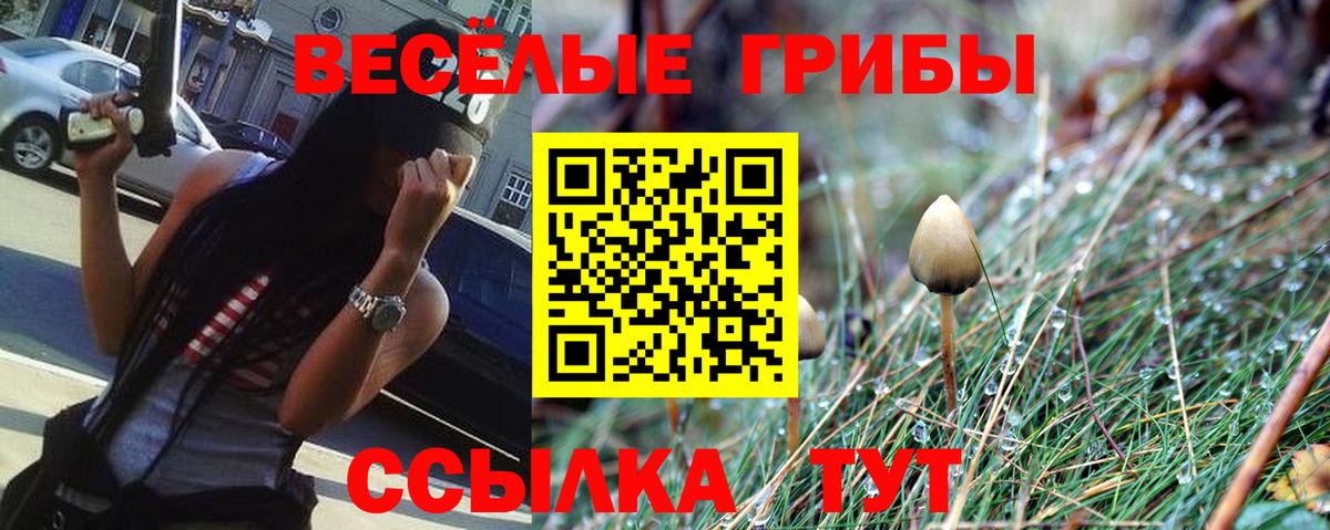 Ливны  где купить наркотик  Вход с VPN  Псилоцибиновые грибы Psilocybe 